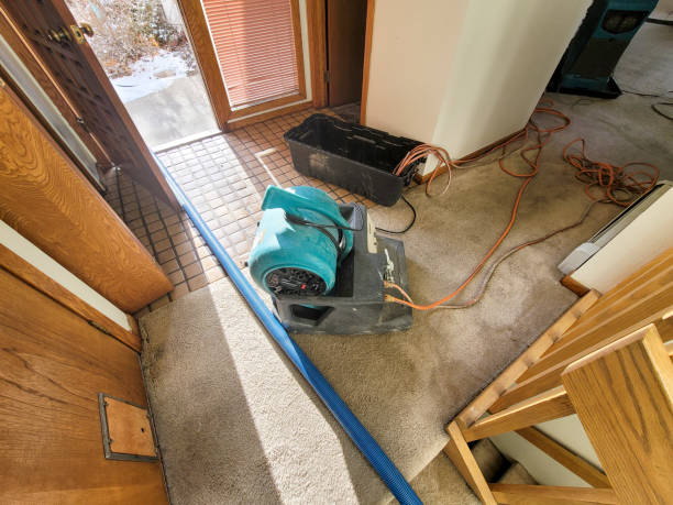 Best Flood damage cleanup  in Ennis, TX