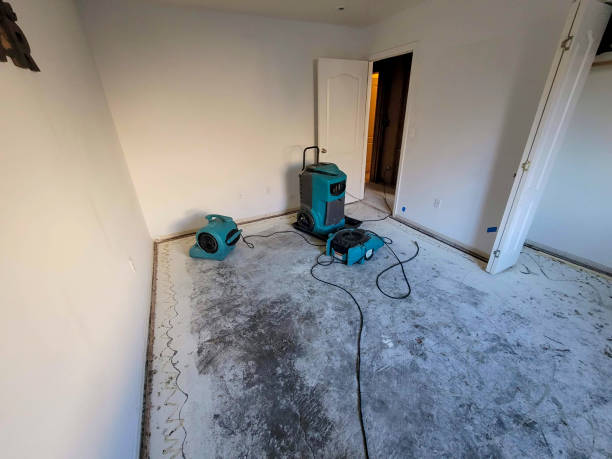 Best Water damage restoration process  in Ennis, TX