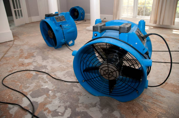 Best Fire Damage Restoration  in Ennis, TX