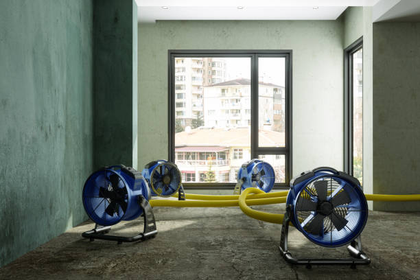 Best Water damage restoration services  in Ennis, TX